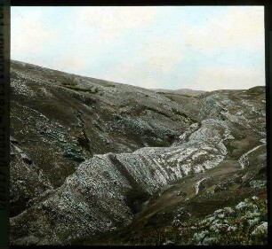 Wadi bedan. Gebirgstal-östl. Samarien