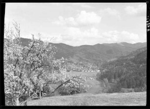 Fernblick nach Günterstal