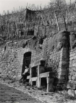 In den einheimischen Weinbergen von Esslingen