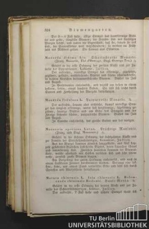 Monsonia speciosa Lavan. Prächtige Monsonie. (Franz. und Engl. Monsonie.)