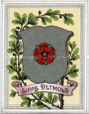 Postkarte mit dem Kleinen Staatsswappen des Fürstentums Lippe-Detmold