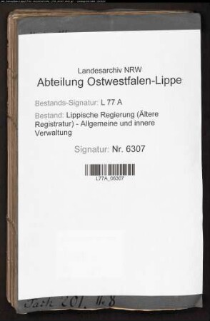 Hebammen im Amt Lage, Bd. 3