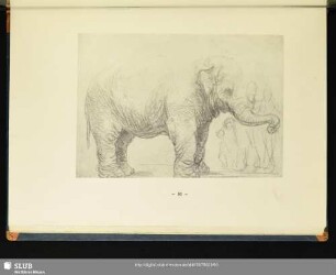 [31. Elephant]