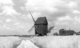 Großtreben-Zwethau-Rosenfeld. Bockmühle, ruinös