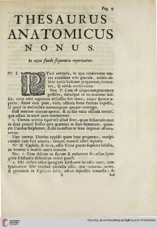 Thesaurus anatomicus nonus