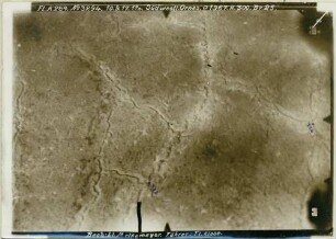 Foto des Geländes südwestlich von Ornes (Luftbild)