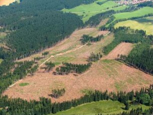 Langewiesen : Windbruch