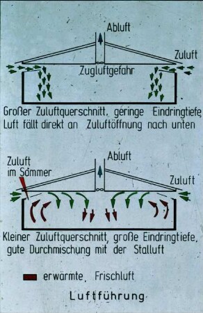 Luftführung in einem Stallsystem