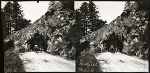 Col de la Schlucht. Der Roche du Diable ("Teufelsfelsen")
