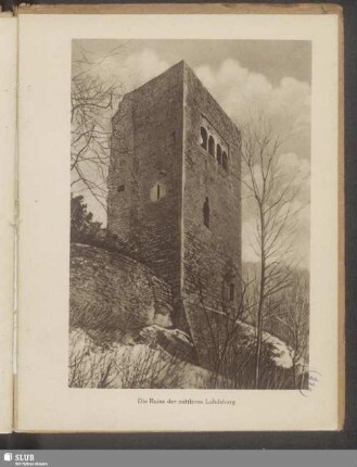 Die Ruine der mittleren Lobdeburg