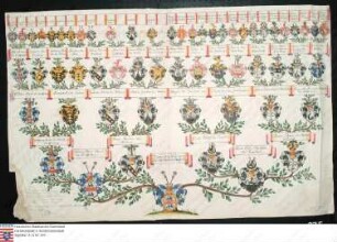 Ahnenprobe des Marquard Gottfried Schenk v. Staufenberg. - 1720 September 17, Pergament
