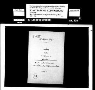 Fenster. Komödie in drei Akten von John Galsworthy, deutsche Übersetzung von Leon Schalit