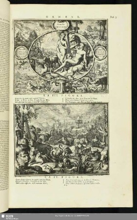 Genese. La IV. Figure