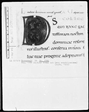 Sakramentar mit eingearbeitetem Graduale — Initiale D (eus qui hanc sacratissimam), Folio 144verso