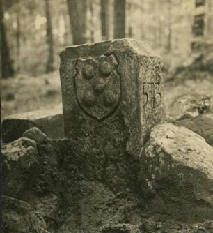 Hohenecken: Grenzstein im Reichswald mit Sickinger Wappen Nr. 573. Bendert