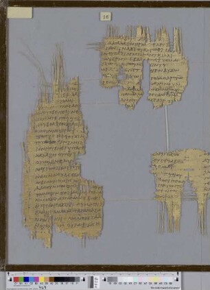 Canticum Canticorum 5,3-6,4