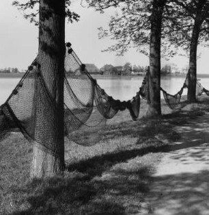 Blick auf den toten Arm der Treene bei Friedrichstadt, Schlei- und Eidermündung