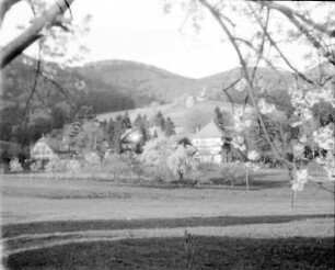 Glotterbad: Blick aufs Kurhaus; Blütenzweig darüber