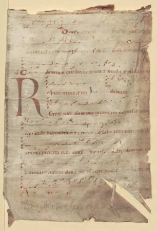 Graduale - BSB Clm 29306(116