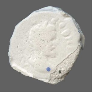 cn coin 9561 (Augusta Traiana)