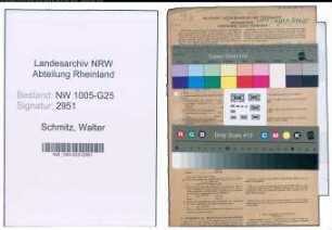 Entnazifizierung Walter Schmitz , geb. 19.03.1906 (Kaufmann)