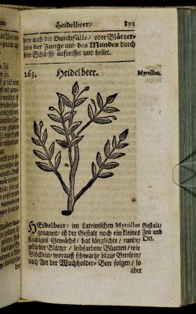 263. Heidelbeer. - 274. Dosten.