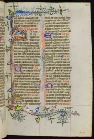 Initiale E mit Bordürenstäben und Fadenranken
