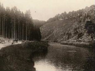 Muldental oberhalb Bieberstein bei Nossen (Biotitgneis)