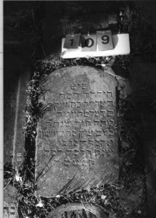 Grabstein 109 (Index: 99796486) Material: Sandstein Zustand: gut Maße HxBxT: 0x0x0 cm Beschreibung: Stele, ausgezogener Segmentbogenabschluß Symbolik: Ranke: Grabstein 109