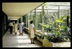 Zoo Vogelhaus 13.6.64.