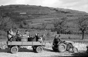Ihringen: Familie auf Wagen, auf der Heimfahrt