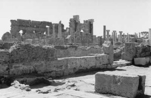 Ruinen von Leptis Magna : Blick auf die Ruinen von Leptis Magna
