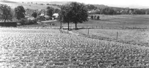Markersdorf-Friedersdorf. Blick vom ehem. Windmühlenstandort auf den Ort