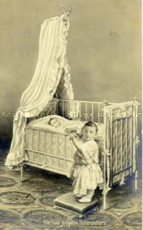 Die Prinzen Wilhelm und Louis Ferdinand