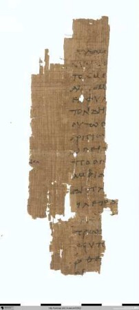 Homer, Ilias 10, 91, 110–115, 123–144, 150–160, 231–234, 240–277, 279–316, 320–512, 519–530, 535–548, 557–568