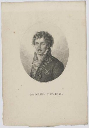 Bildnis des George Cuvier