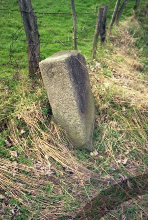 Kreis Herzogtum Lauenburg: Grenzstein