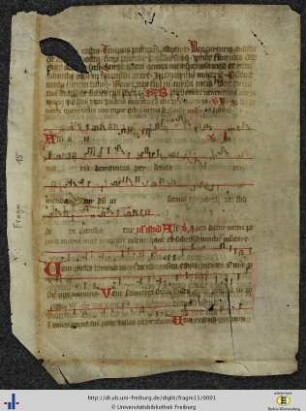 [1rv] Teil des Festes 'In visitatione beatae Mariae virginis'.