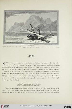Sinai