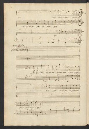 Ave caeli munus supernum; V (3), bc; g-Moll; LWV 77-2