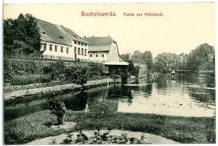 Bischofswerda. Am Mühlteich