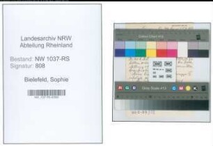 Entnazifizierung Sophie Bielefeld , geb. 06.01.1900 (Lehrerin)