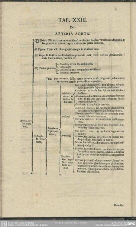 Tab. [XLIII.] De Arteria Aorta