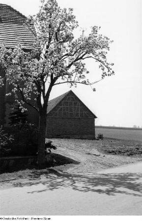 Blick auf ein Gehöft