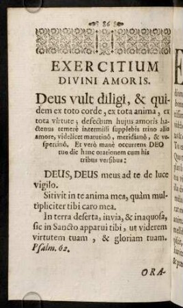86-119, Exercitium Divini Amoris.