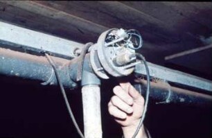 Fotografie: Fütterungstechnik, Flüssigfütterungsanlage, Mastschwein