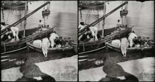 Les Sables-d'Olonne. Sardinenfischer im Hafen