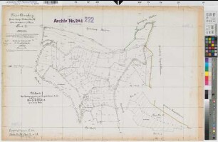 Langenholthausen (Balve), Blintrop (Neuenrade), Umlegung Langenholthausen-Blintrup, Bl.13 Urkarte I Balve Flur 11