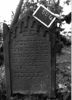 Grabstein 884 (Index: 100103007) Material: Sandstein Zustand: gut erhalten Maße HxBxT: 123x64x12 cm Beschreibung: Stele, Dreiecksabschluss, Eckakroterien in Palmettenform, würfelförmiges Giebelakroter, Schriftfeld eingetieft mit Zinnenfries, die Buchstaben haben teilweise ungewöhnliche Formen Symbolik: Zinnenfries: Grabstein 884