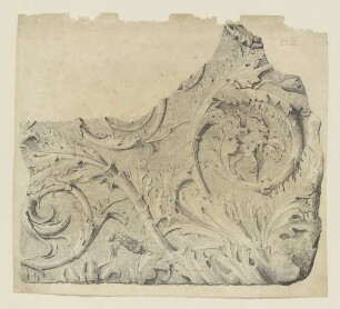 Akanthus-Relief (Bauornament, Britisch, Taf. 16)